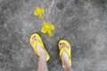 Yellow Arrows Direction. WomanÃ¢â¬â¢s Sandals Feet with Violet Nail Pedicure on Cement Background